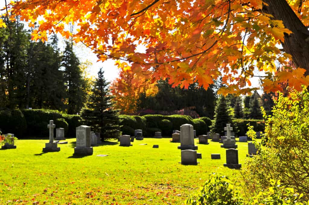 Bright graveyard lawn with tombstones